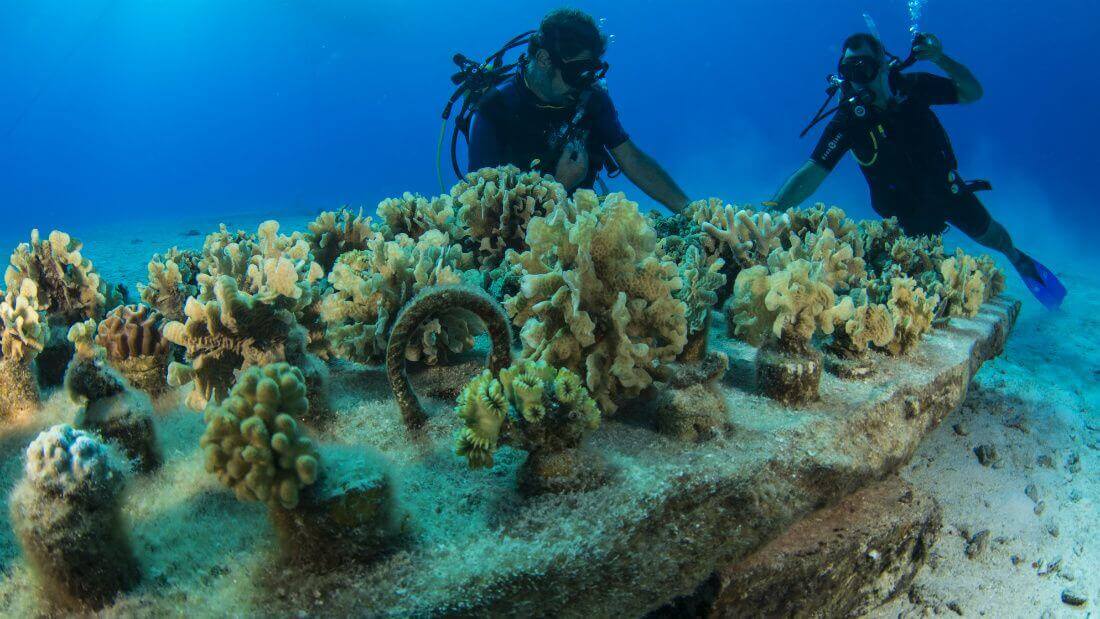 Adventures and activities